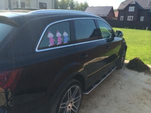 3 новых пассажира )))