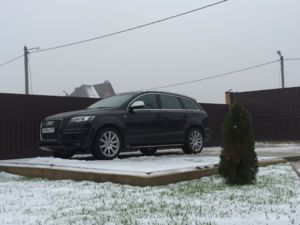 Трава сквозь снег