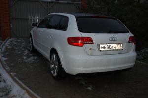 DSC 4197