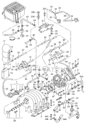 CImage (3)