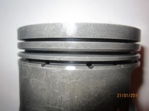 IMG 4181