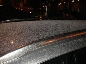 IMG 0274 1