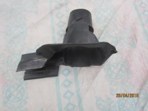IMG 4755