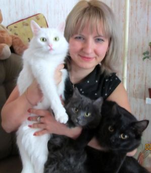 мои кошки