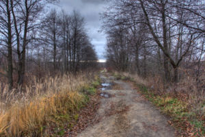 IMG 3994 5 6 tonemapped