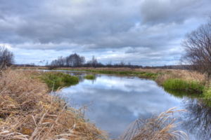 IMG 4011 2 3 tonemapped