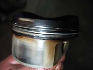 IMG 9444