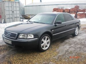 CIMG6502