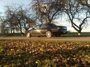 image f83b145d160326b9bb8eb10216d6c85686d5903fa17ad779cf25b27ca9b0d1d9 V