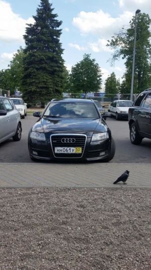 Май 2015 авант в Минске
