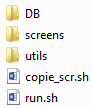 script structure