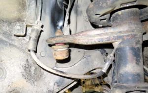 IMG 1198 resize