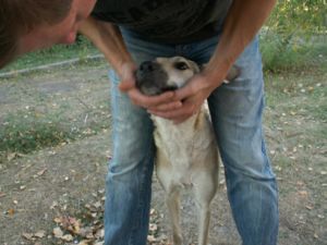 животных не обижаем