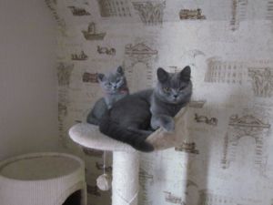 IMG 0675