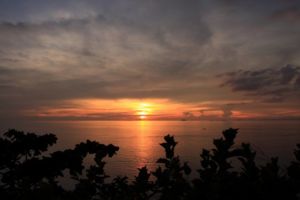 IMG 7048