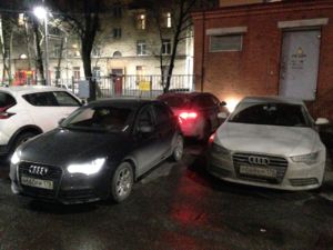Может там у них гнездо.