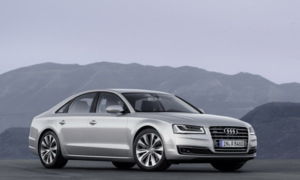 Static photoColour: Florett Silver