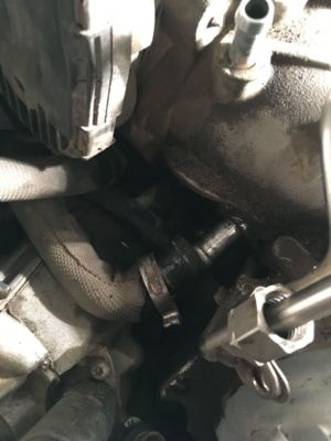 81068
