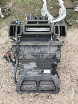 81906