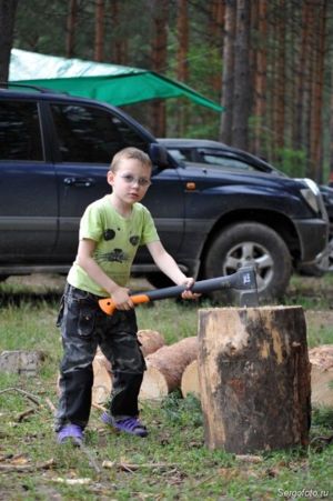 Юный дровосек