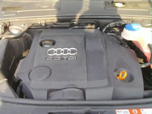 20110726 017