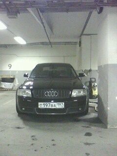 picture 00020