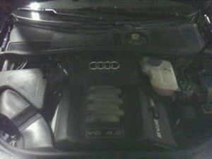 picture 00046