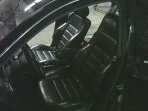 picture 00043