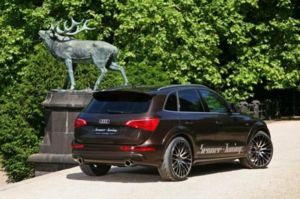 audi q5 by senner 01 650x433