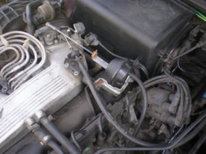 P7020009