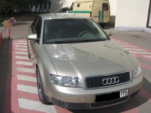 IMG 4155