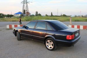 IMG 4575