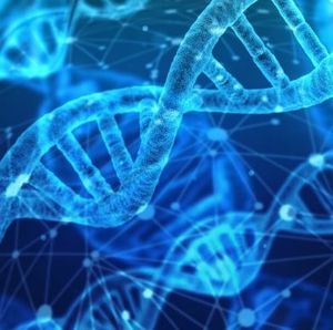 Тест ДНК на еврейство