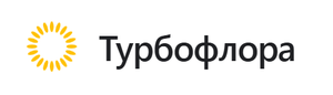 243423324324324243234