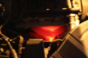 IMG 8727