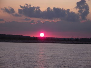 DSCF4231