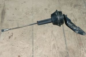 IMGP0951