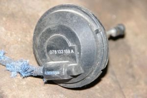 IMGP0972