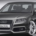 caractere audi a3 04