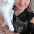 мои кошки