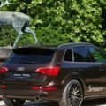 audi q5 by senner 01 650x433