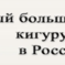 Кигуруми в России